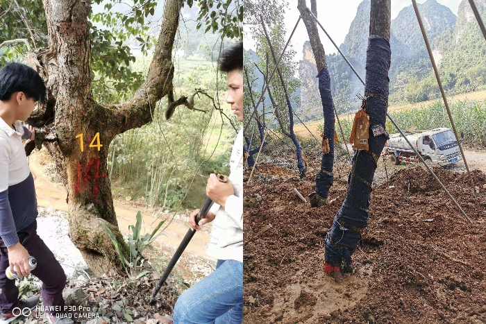 K8官网 - 天生赢家·一触即发