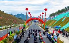 thumb_240_150_20241204031104893